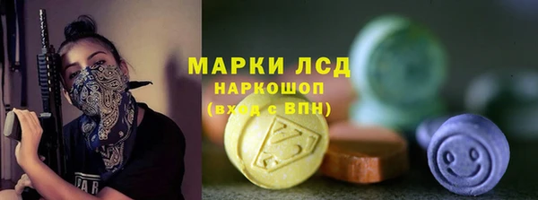 apvp Гусев