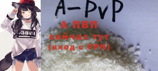 мяу мяу мука Горно-Алтайск